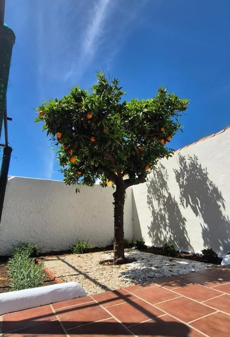 Villa Picasso Pizarra 0*,